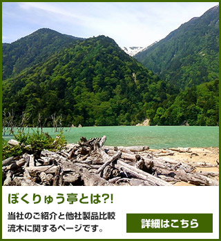 ぼくりゅう亭とは?